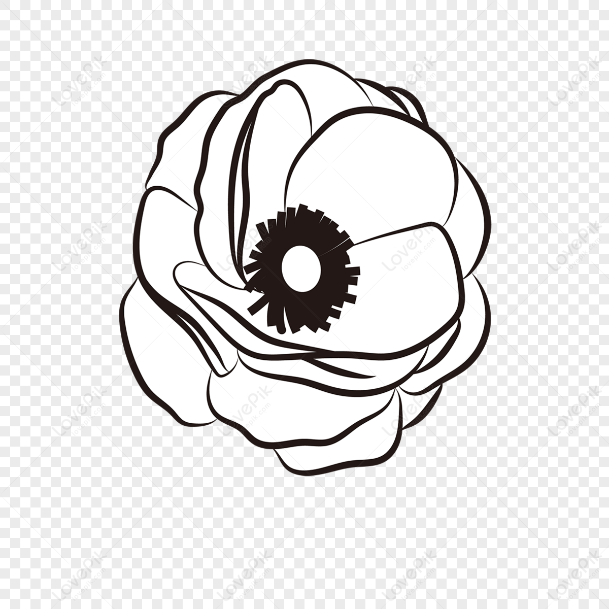 Black And White Line Peony Clipart Flower Clipart Black And White PNG