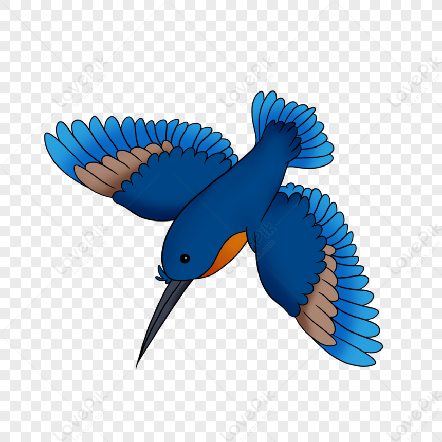 Blue Hummingbird Clip Art,birds PNG Transparent Image And Clipart Image ...