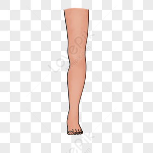 Cartoon Legs PNG Images With Transparent Background | Free Download On ...