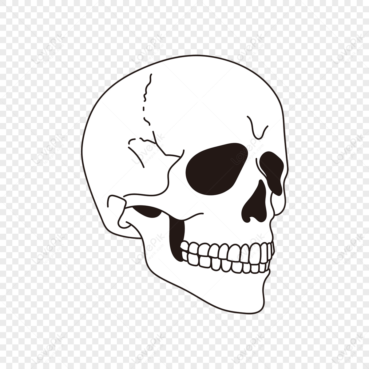 Skull Clipart PNG Images With Transparent Background | Free Download On ...