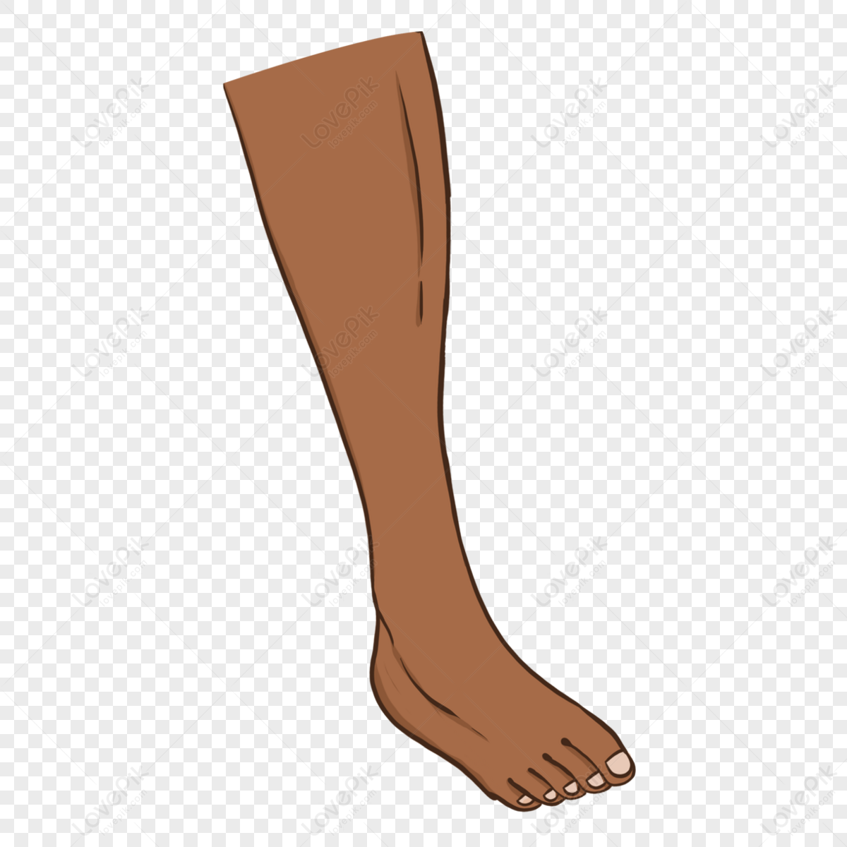 Brown Leg PNG Images With Transparent Background | Free Download On Lovepik