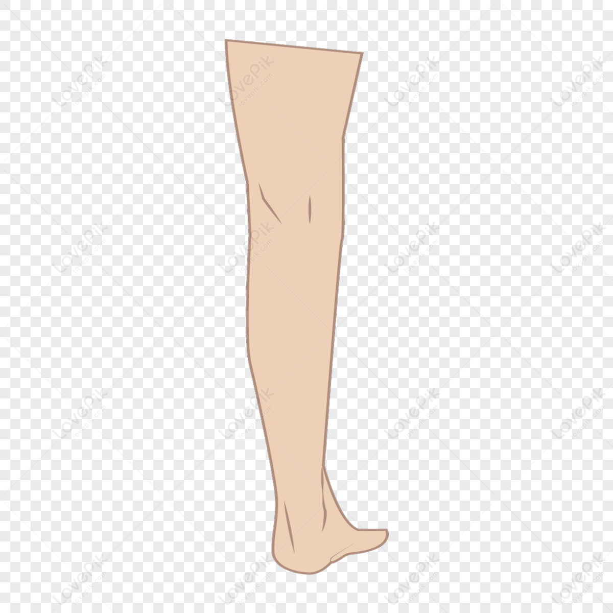 Flesh-colored Straight Leg Left Leg Clip Art,legs PNG White Transparent ...