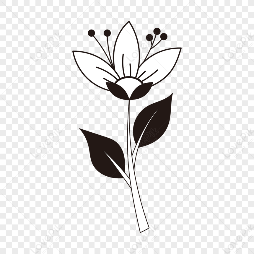 Flower Clipart Black And White,flat,leaf,line PNG Image And Clipart ...