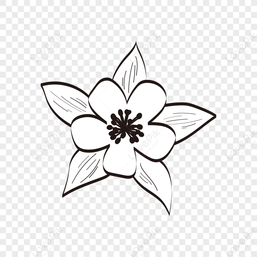 Flower Clipart Black And White,flat,line PNG Transparent Background And ...