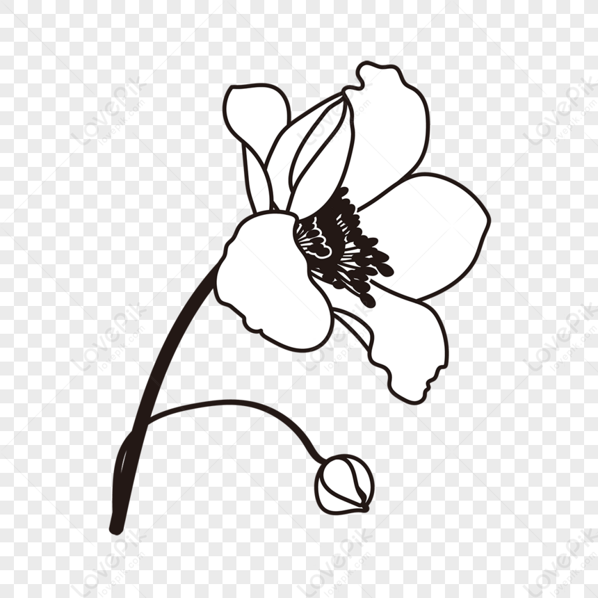 Flower Clipart Black And White,stamens,flat,stamen Free PNG And Clipart ...