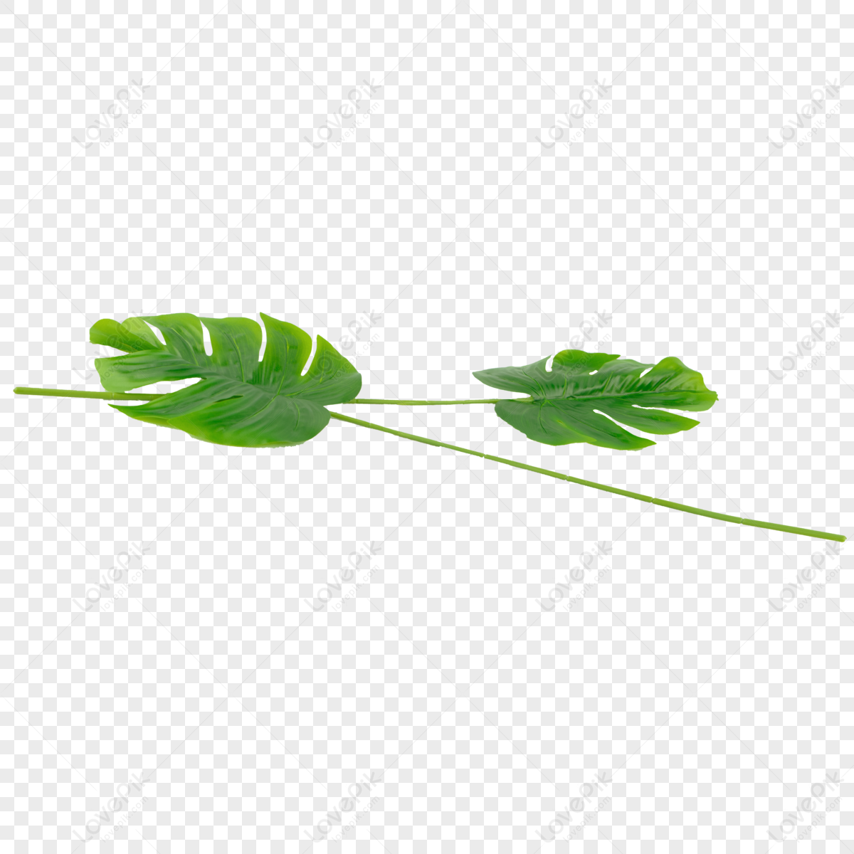 Hd Plants PNG Images With Transparent Background | Free Download On Lovepik