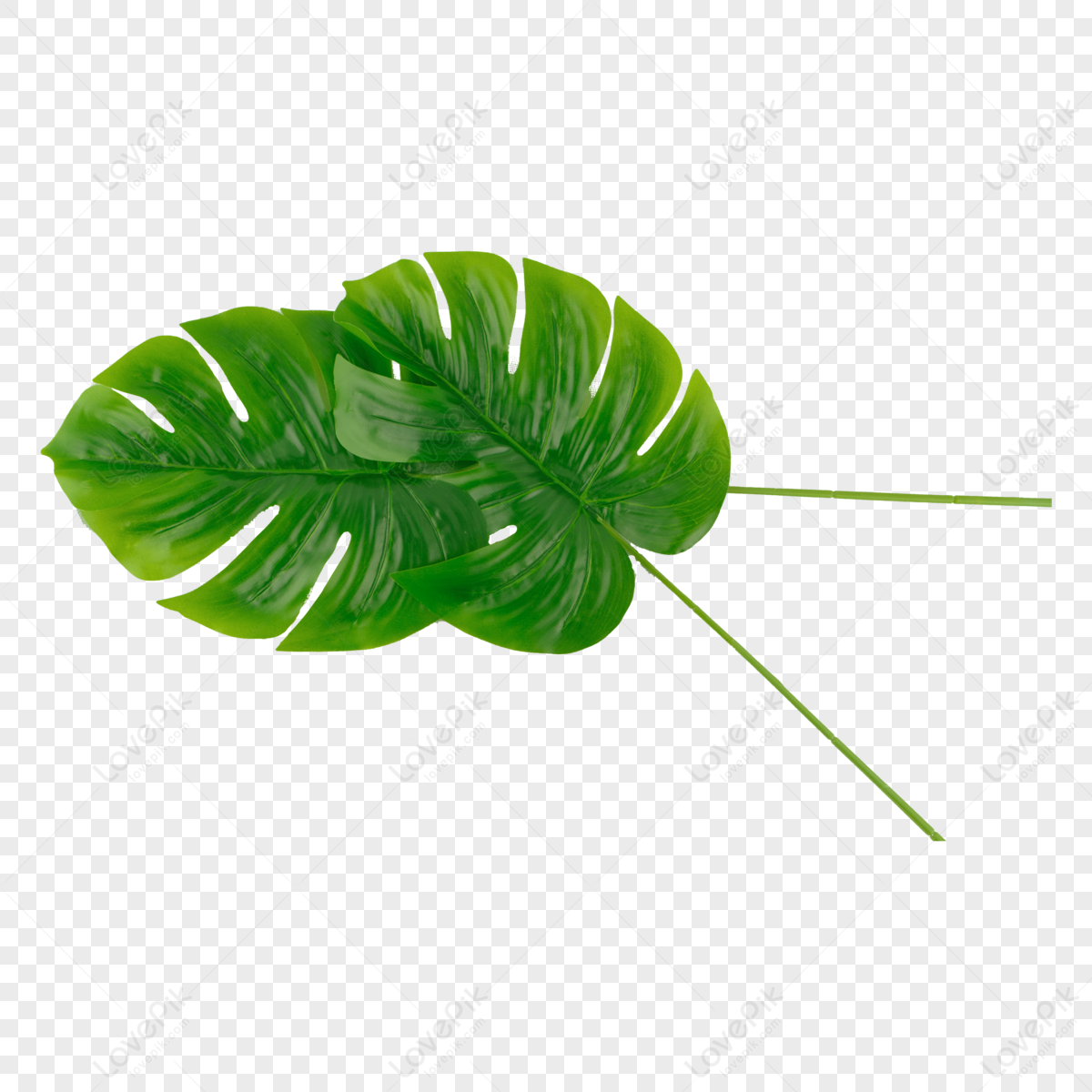 Natural Vegetation PNG Images With Transparent Background | Free ...