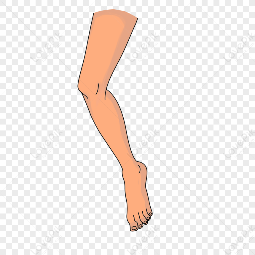 Limbs Legs Clip Art,muscles,motion,muscle PNG Transparent Image And ...