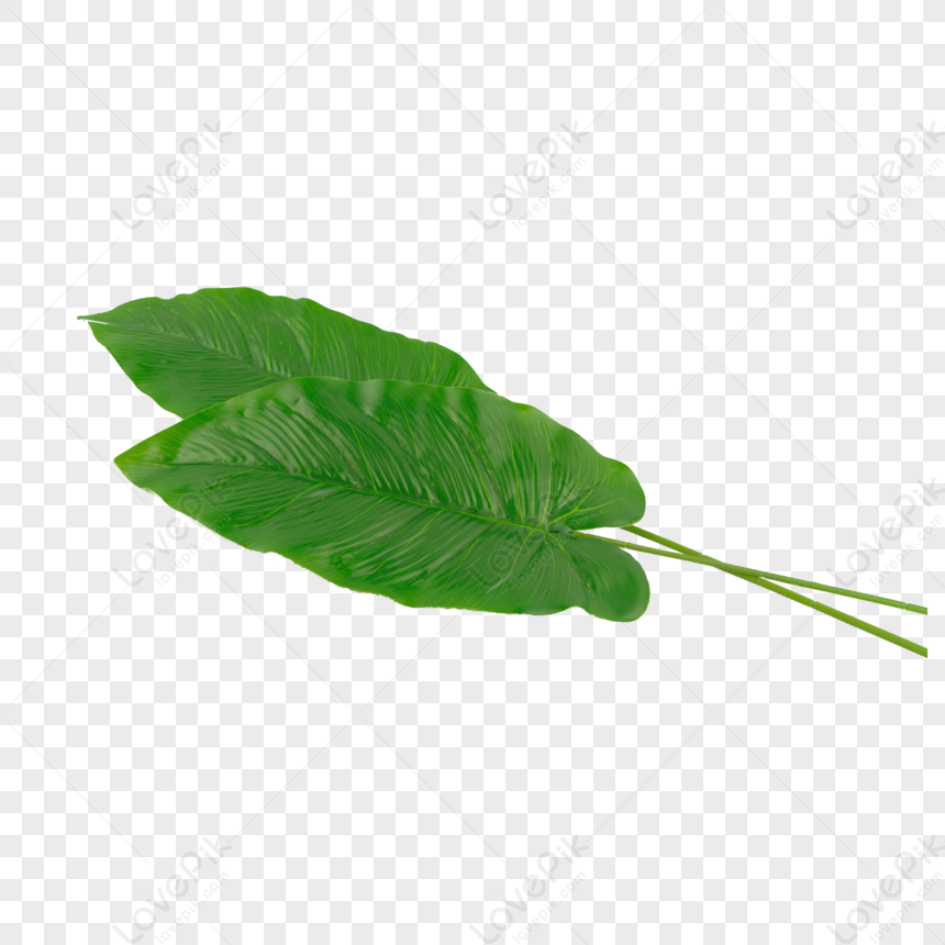 Trama Di Vegetazione Sana Verde Naturale,consistenza Naturale,tè PNG  Immagine Gratis, Grafica download su Lovepik