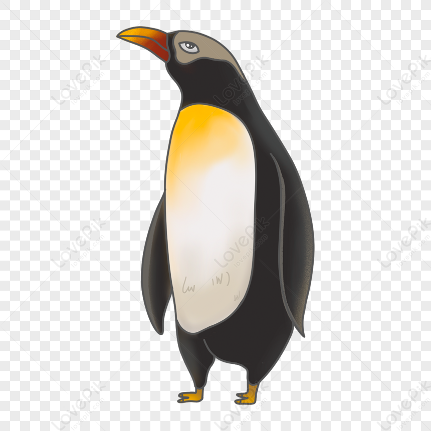 Penguin Clipart Ugly Uncle Penguin Cartoon,little Eyes,cartoon Penguins ...