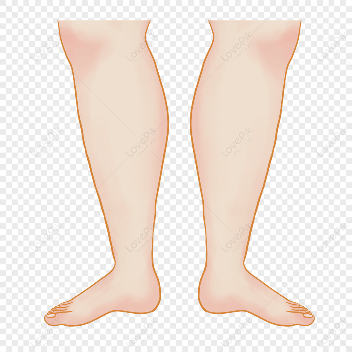 Fat Legs Images, HD Pictures For Free Vectors Download - Lovepik.com