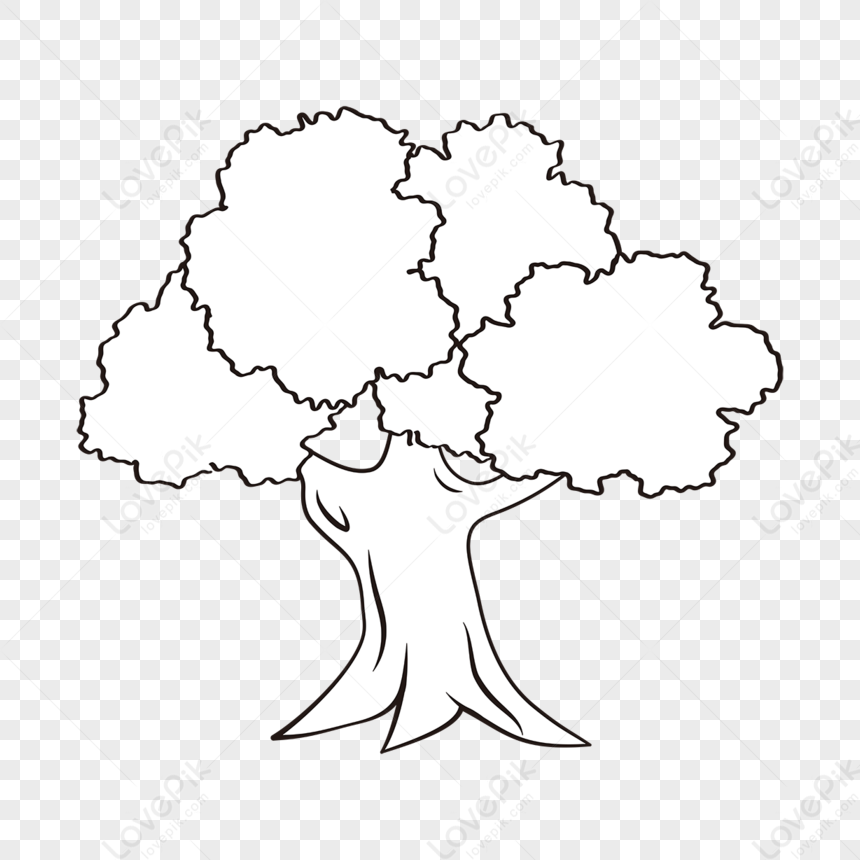 Photo de Arbre Clipart Noir Et Blanc Noir Et Blanc mati re Blanche