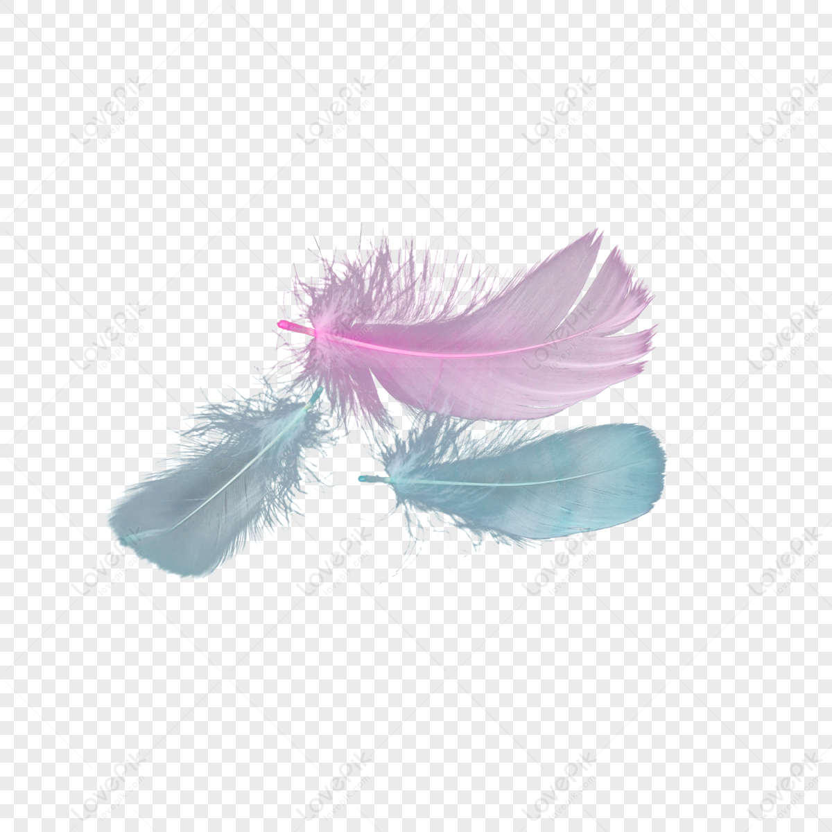 Pink feather isolated 27851841 PNG