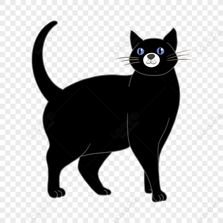 Black Cat Clip Art,black Cats,cartoon PNG Free Download And Clipart ...