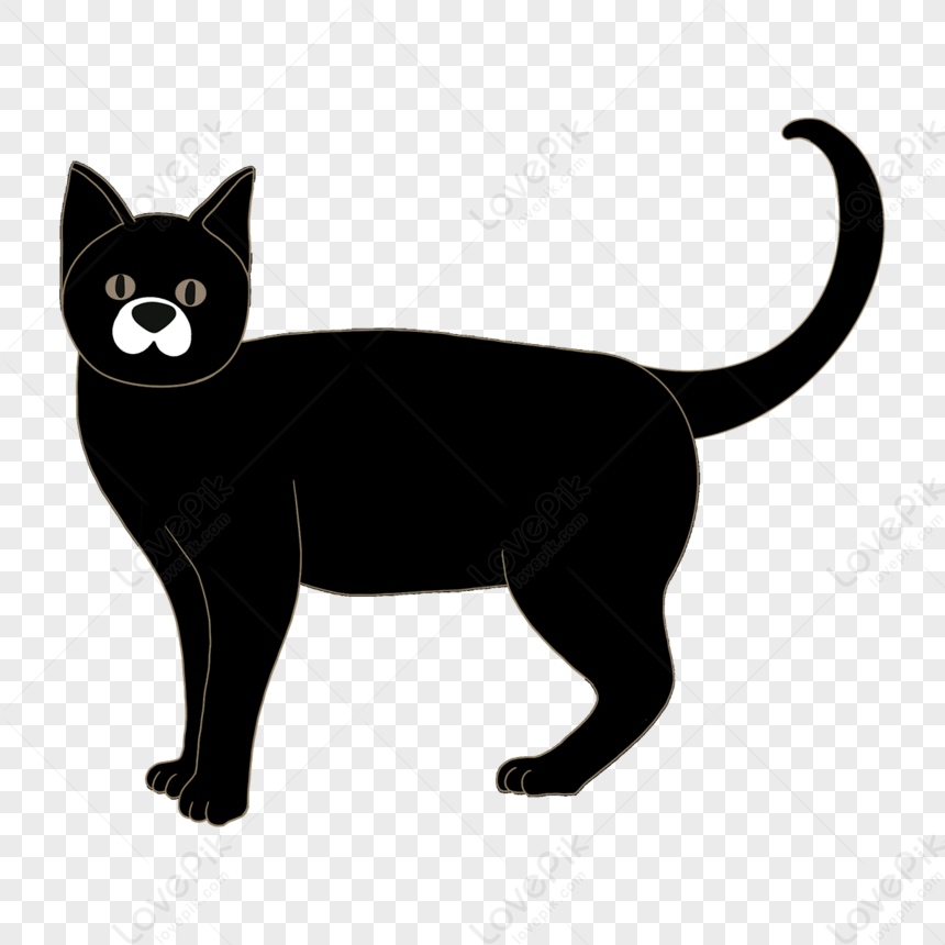 Photo de Chat Noir Recherche Dans A tourdi Clipart clipart