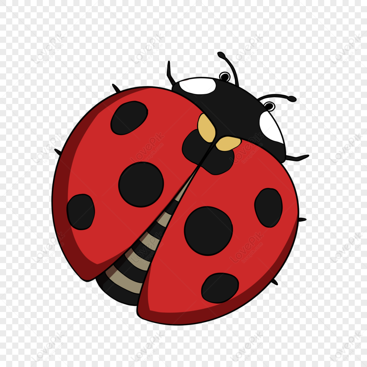 Ladybug Wallpaper Border Love Bug Ladybugs - Papel De Parede De Joaninhas -  Free Transparent PNG Clipart Images Download