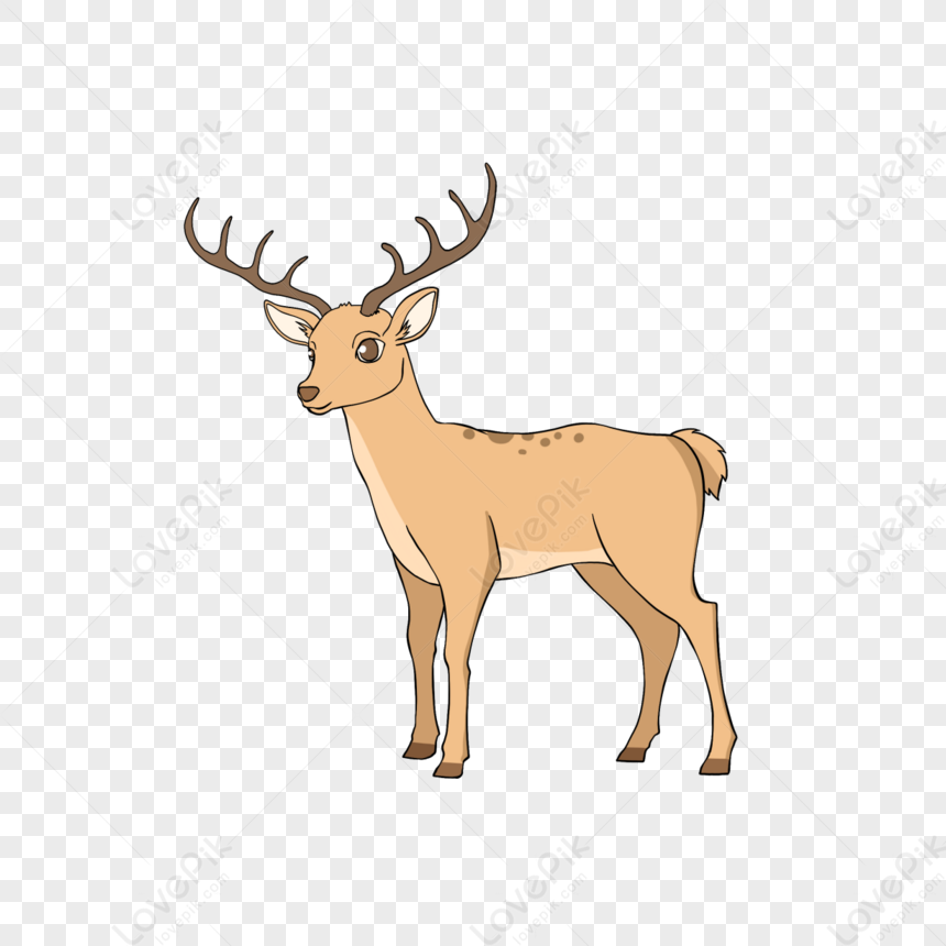 Cartoon Style Spotted Deer Clipart,antlers,fawn,cartoon Fawn PNG Image ...