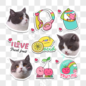 Cute Cat Emoji PNG Images With Transparent Background | Free Download ...