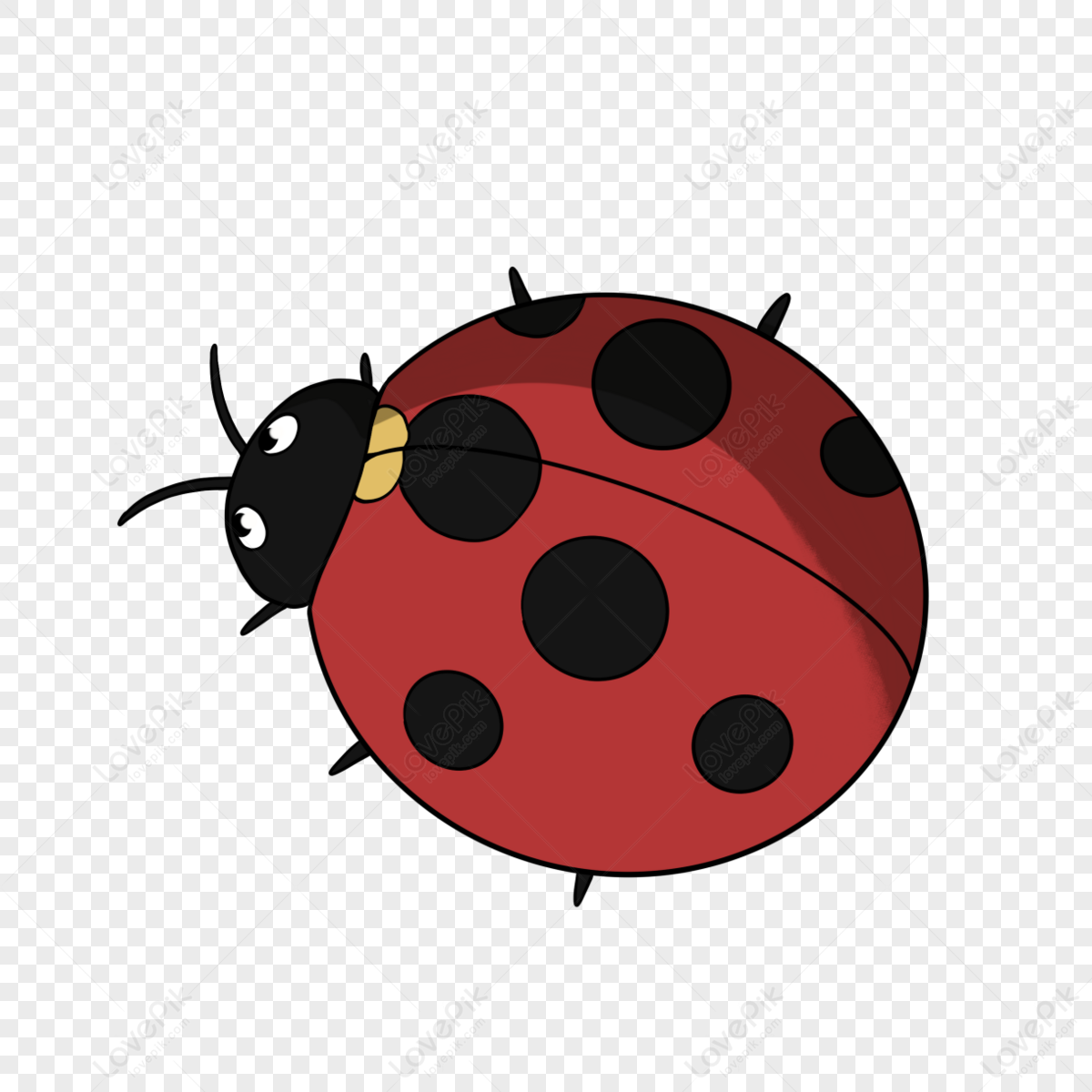 Cute Insect Ladybug Ladybug Clipart Insect,cute Insects,insects PNG ...