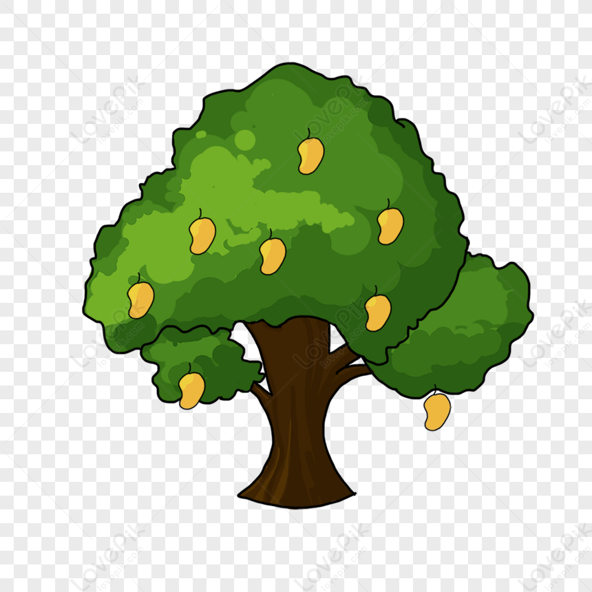 Delicious Mango Tree Clip Art,mangifera Indica,fraxinus Griffithii ...