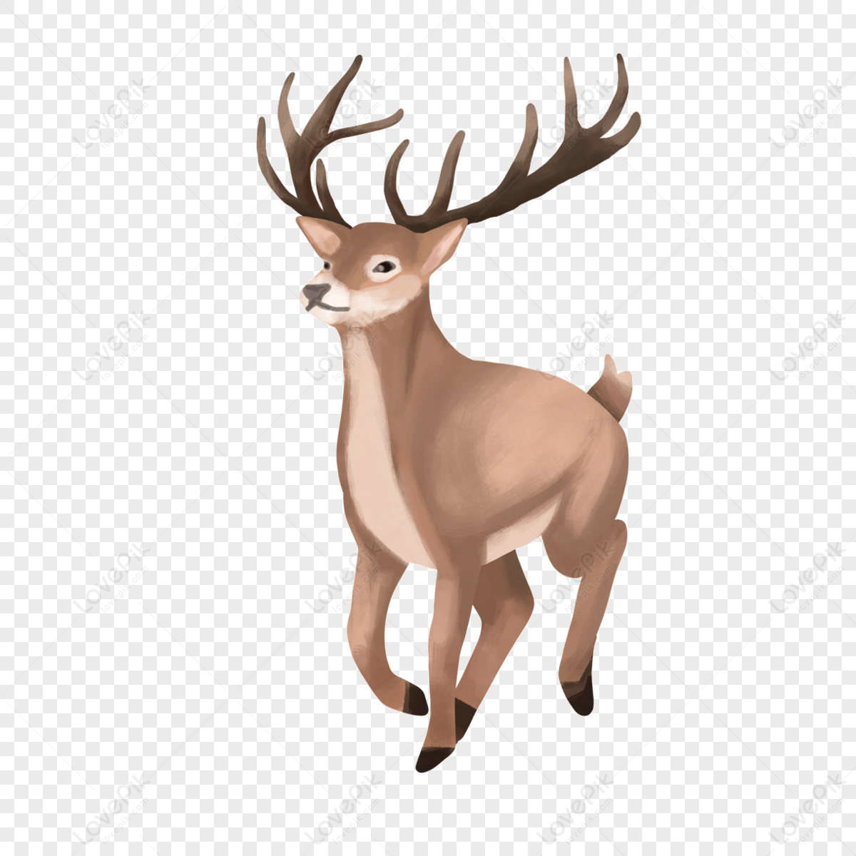 Happy running wild animal elk clipart,reindeer,deer png white transparent