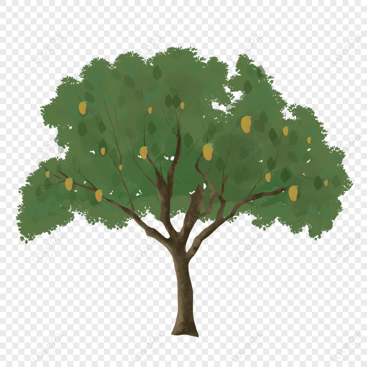 Illustration Mango Tree Clipart,paint,eps,style PNG Free Download And ...