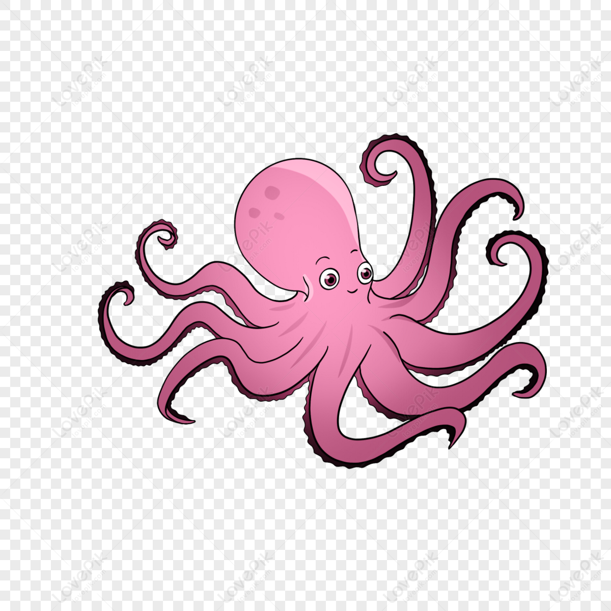 Octopus clipart marine animal,pink,anime,marine animals png transparent background