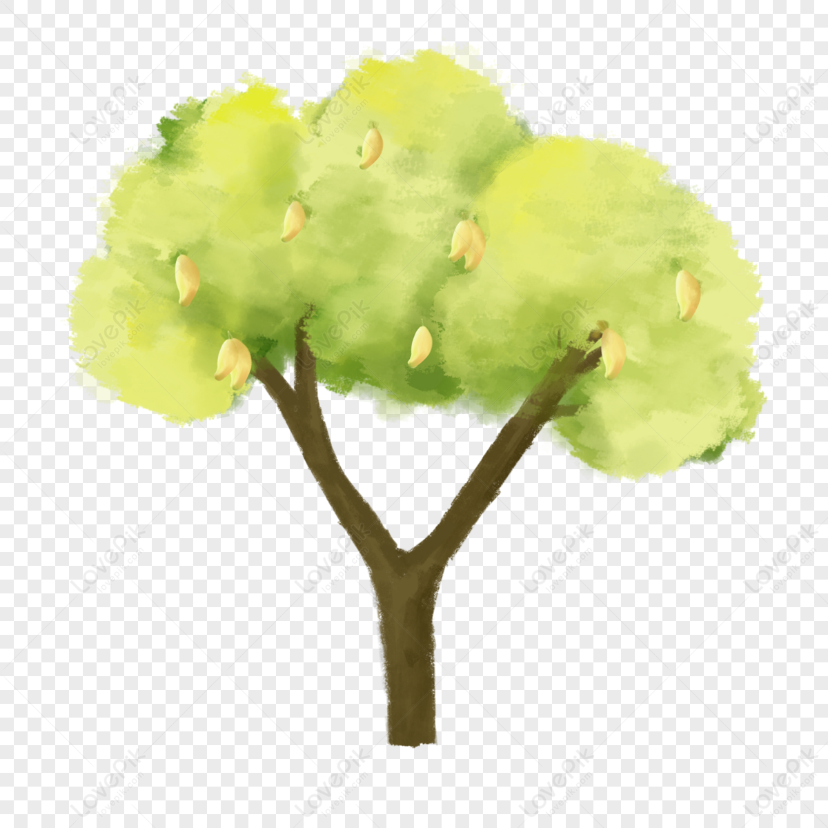 Mango Tree Picture PNG Images With Transparent Background | Free ...