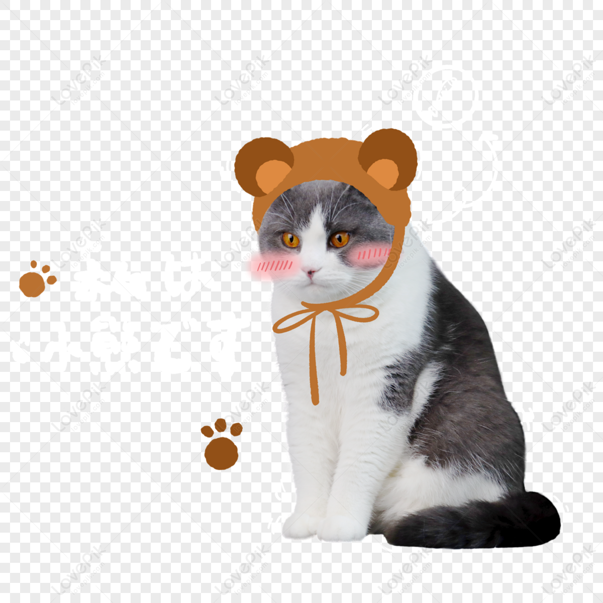 Cute Cartoon Cat And Kitten Icon In Style Vector, Kittens, Lineal Icon,  Flat Icon PNG and Vector with Transparent Background for Free Download