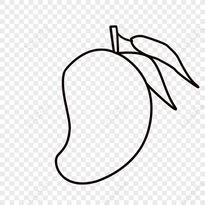 Mango Drawing || How to Draw Mango Step by Step || Mango Drawing Colour ||  Fruits Drawing.. - YouTube