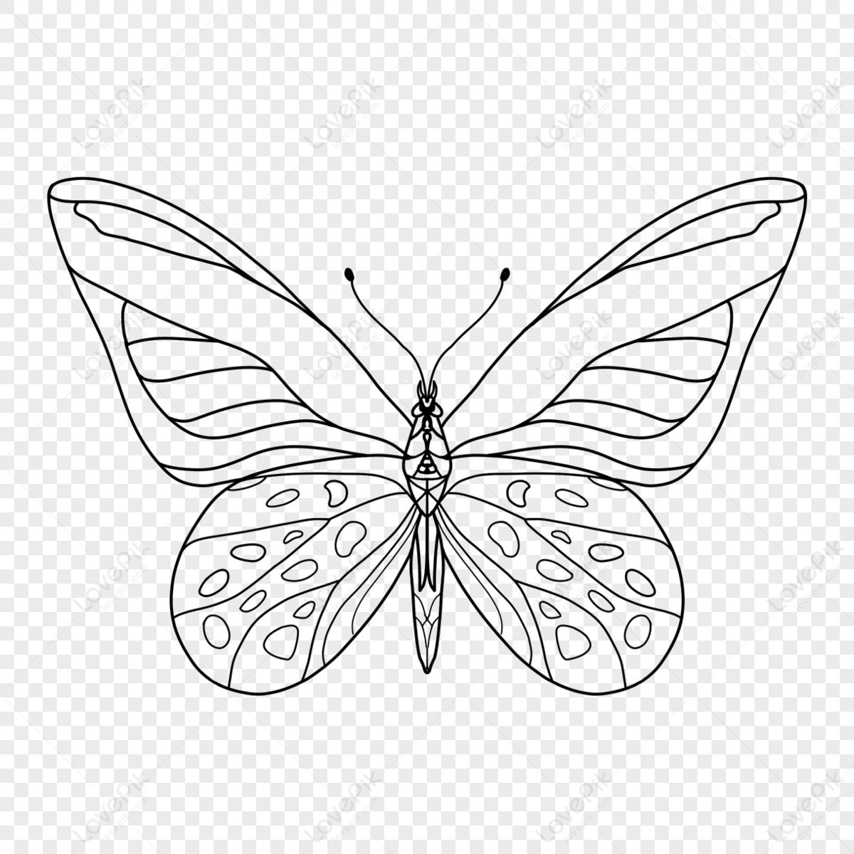 Butterfly Clipart Black And White,line Draft,insects,flying Free PNG ...