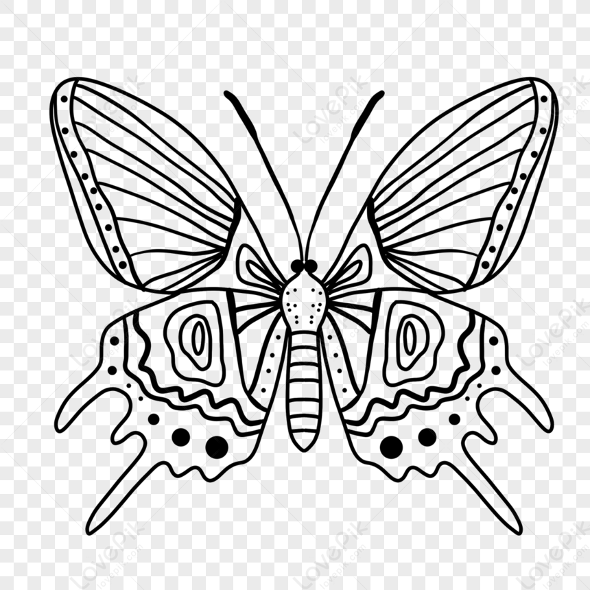 Photo de Clipart Papillon Noir Et Blanc brouillon De Ligne antenne