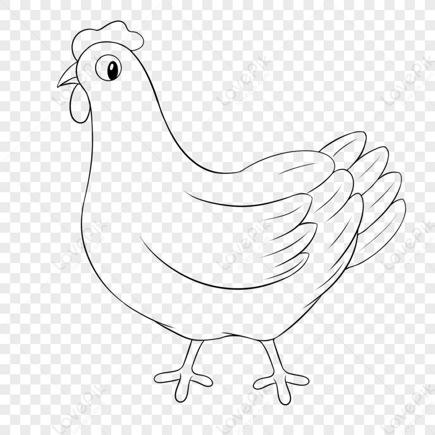 Раскраска Курица Цыпленок Распечатать Бесплатно для Взрослых и Детей