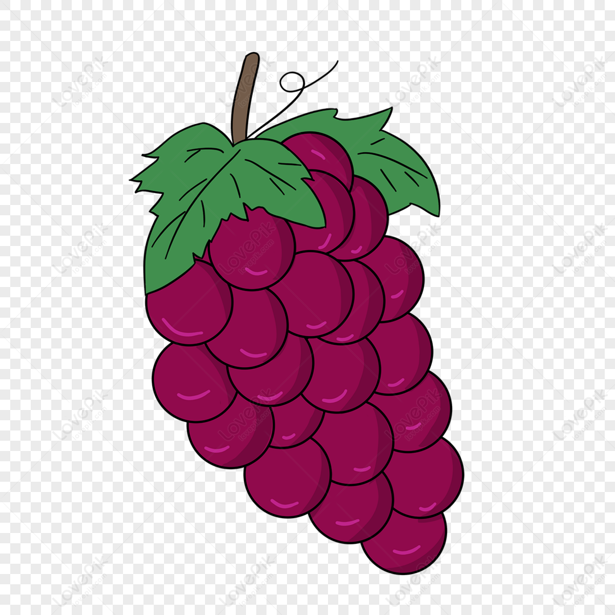 Grape PNG Transparent Images Free Download - Pngfre