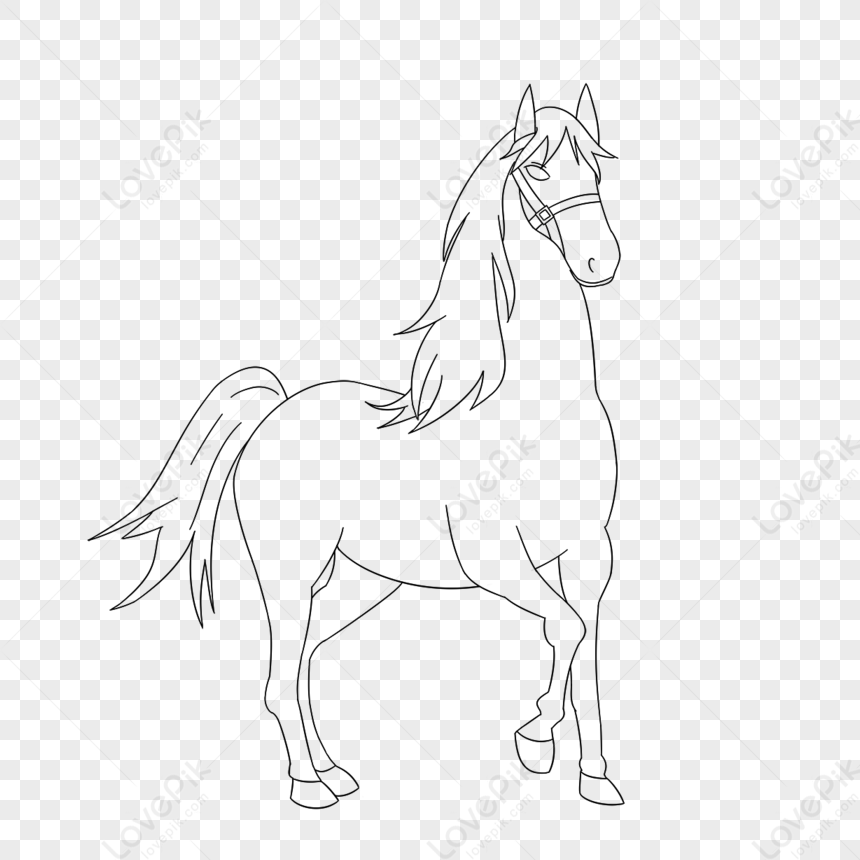 Лошадь рисунок черно белый - 70 фото