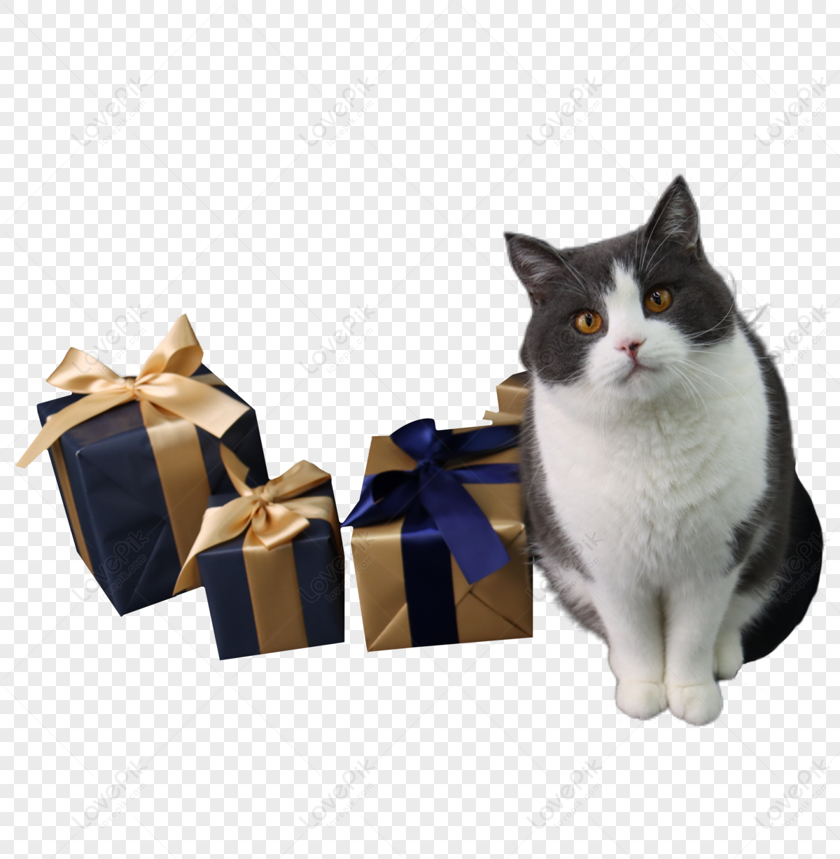 Pile Of Gifts transparent PNG - StickPNG