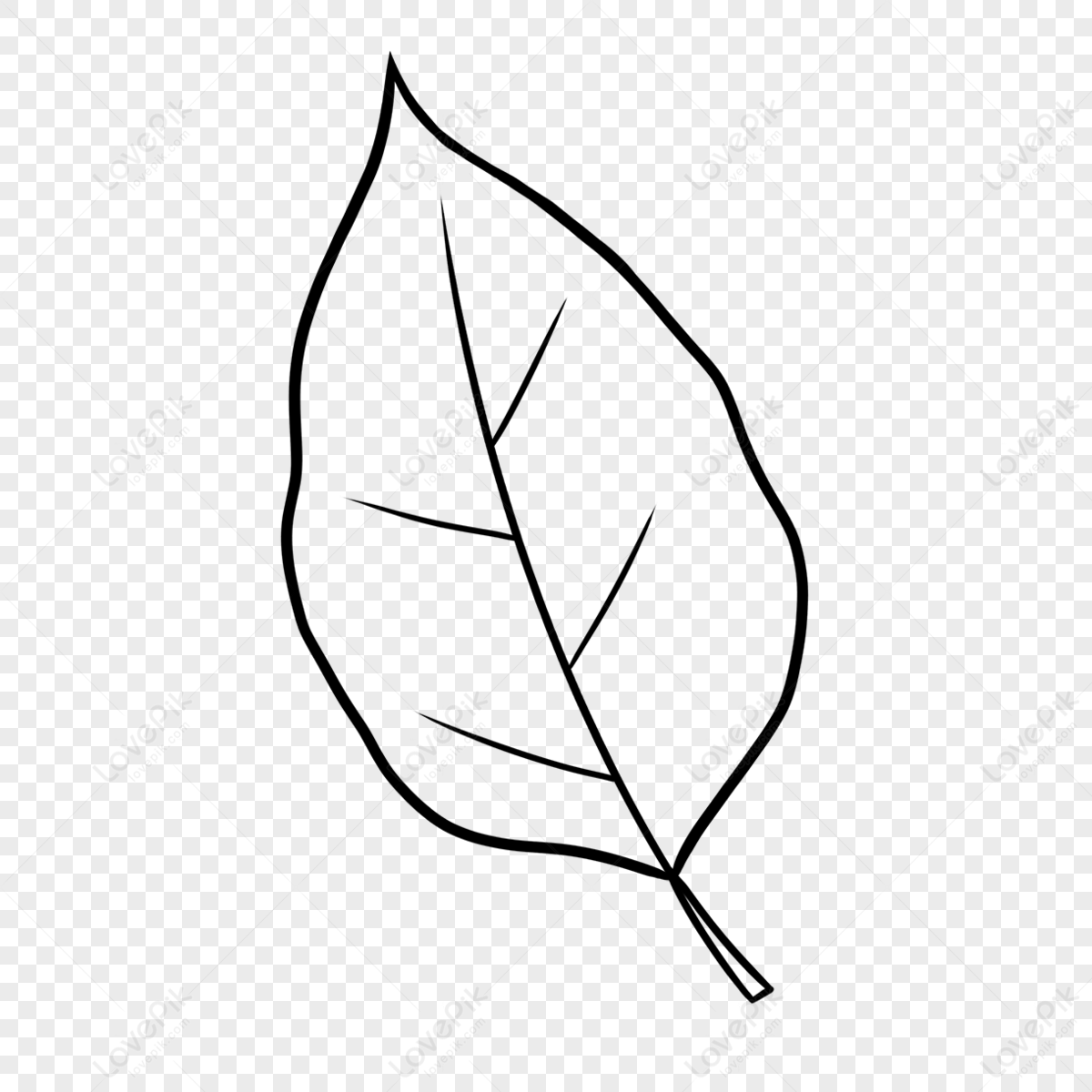 plain-leaf-black-and-white-clipart-simple-ordinary-leaves-free-png-and