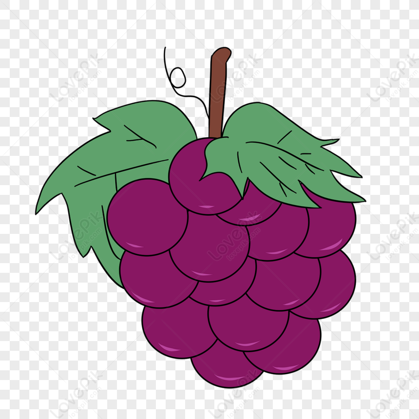 Фиолетовый виноград картинки,сладкие фрукты,клип арт,мультфильм виноград  изображение_Фото номер 380231687_PSD Формат изображения_ru.lovepik.com