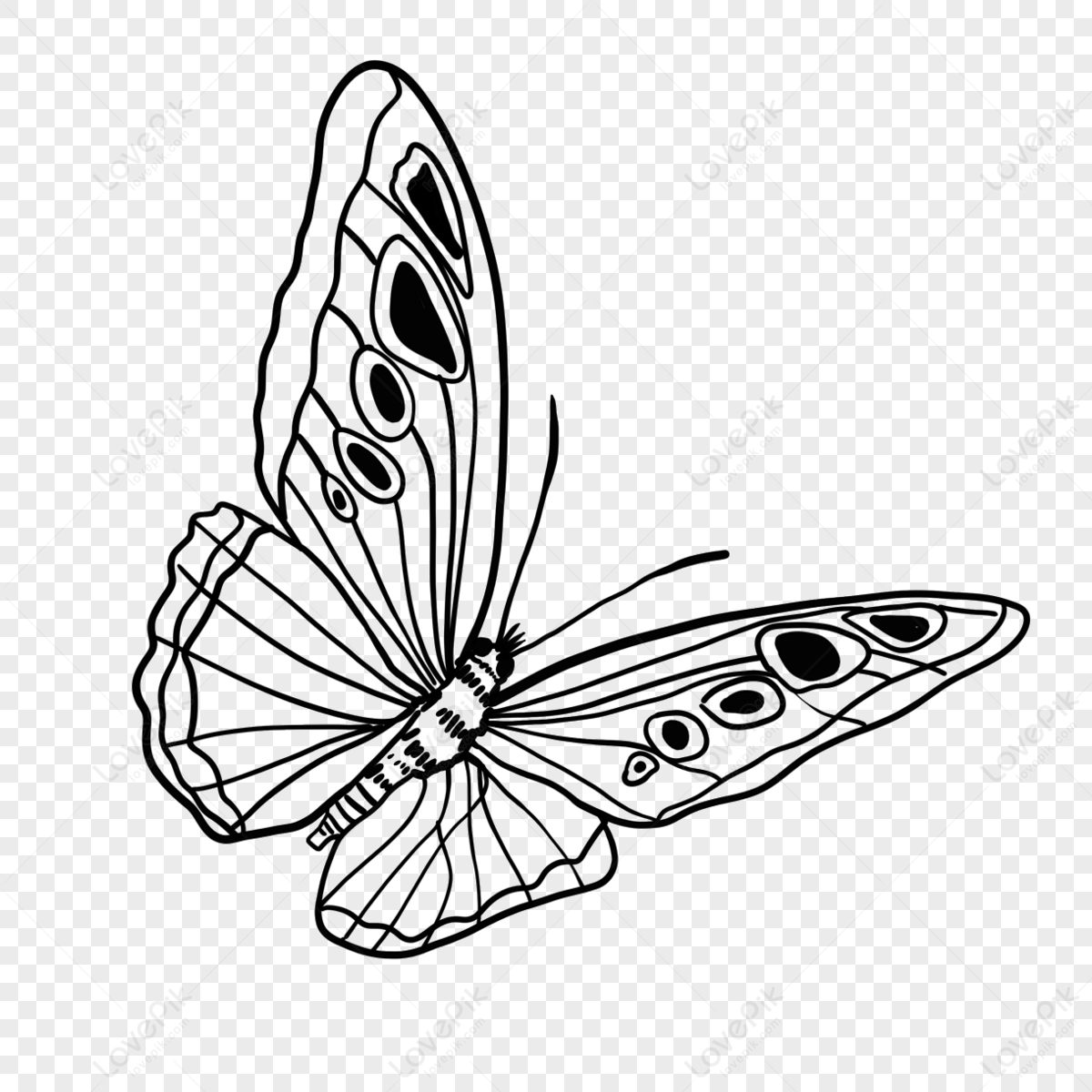 Spreading Wings Butterfly Insect Butterfly Clipart Black And White ...