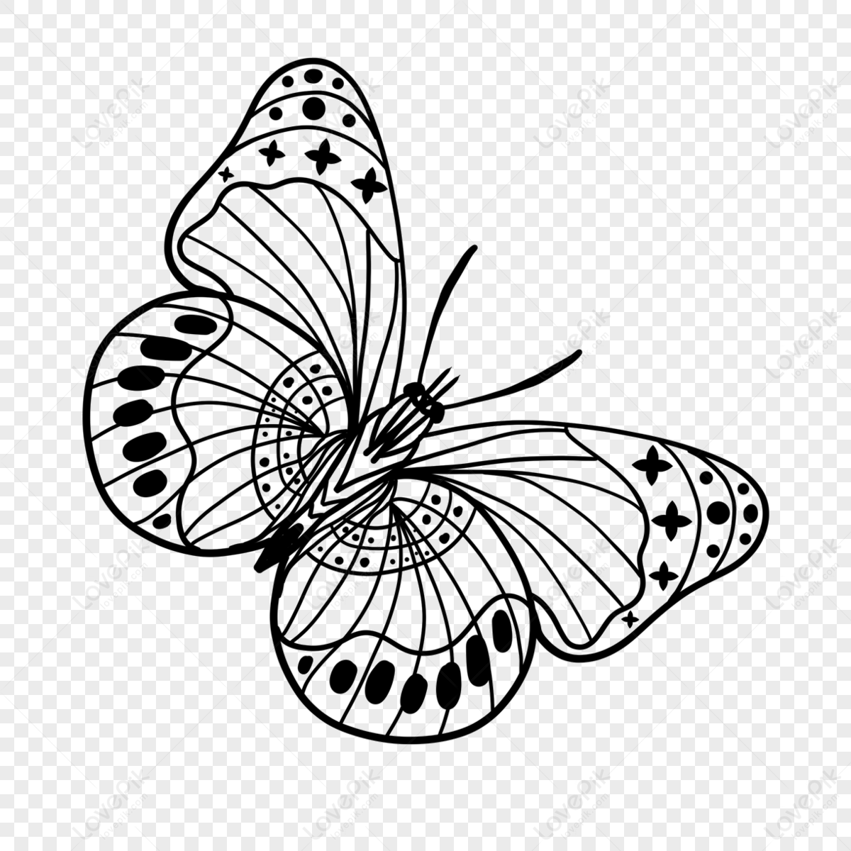 Butterfly Wings Clipart PNG Images With Transparent Background | Free ...