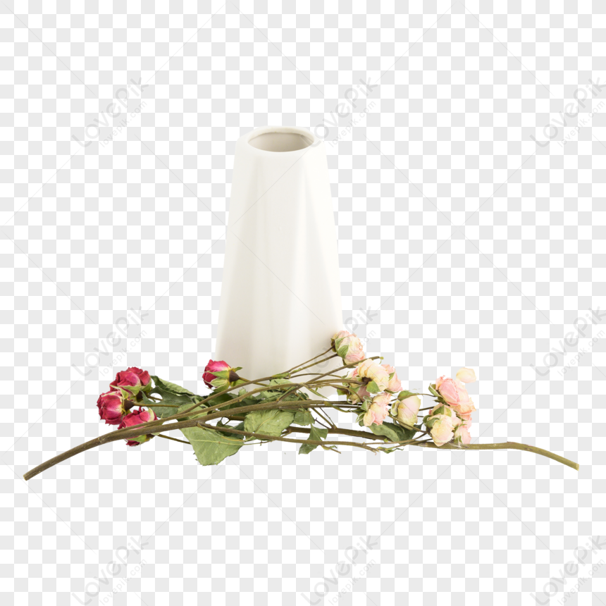 Fiori Veri Essiccati Allaria E Ornamenti Di Vasi In Ceramica Bianca,cr PNG  Immagine Gratis, Grafica download su Lovepik