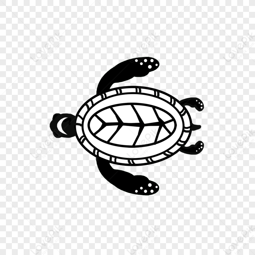 Клипарт Черно-белая морская черепаха,рисунок черепахи изображение_Фото  номер 380246715_PSD Формат изображения_ru.lovepik.com