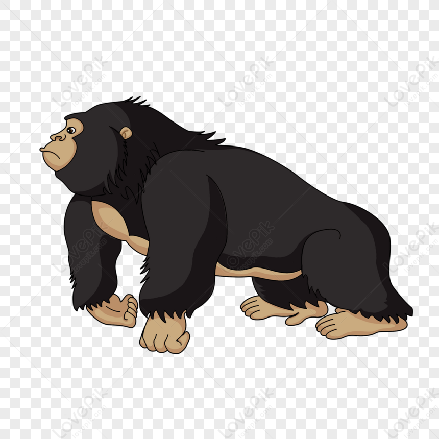 Cartoon Robust Orangutan Clipart,gray,side PNG Picture And Clipart ...