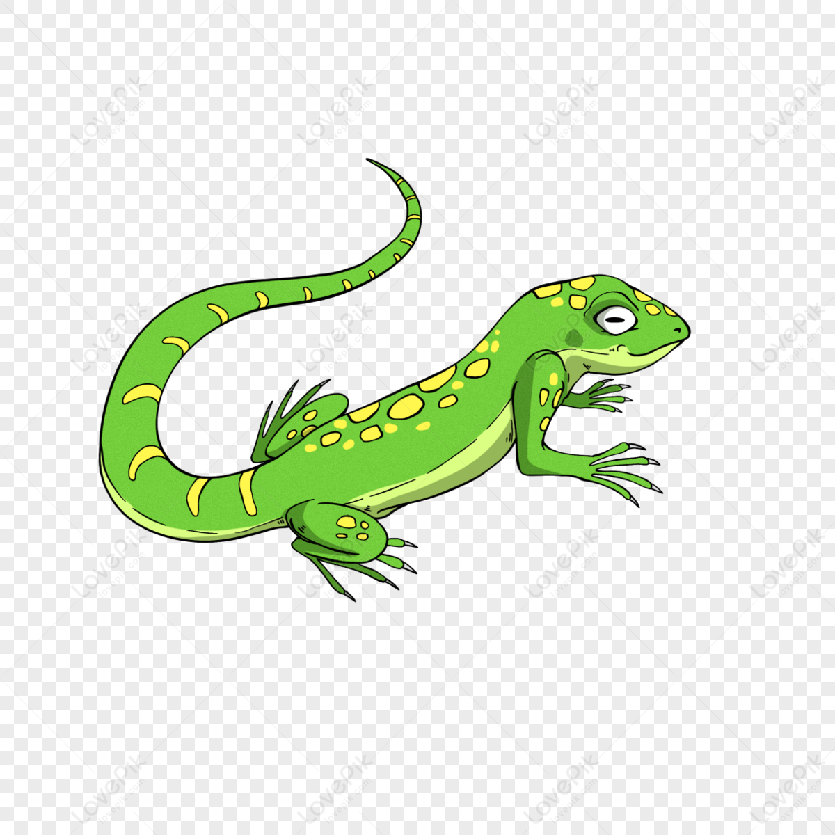 Frilled Lizard - Japari Library, the Kemono Friends Wiki
