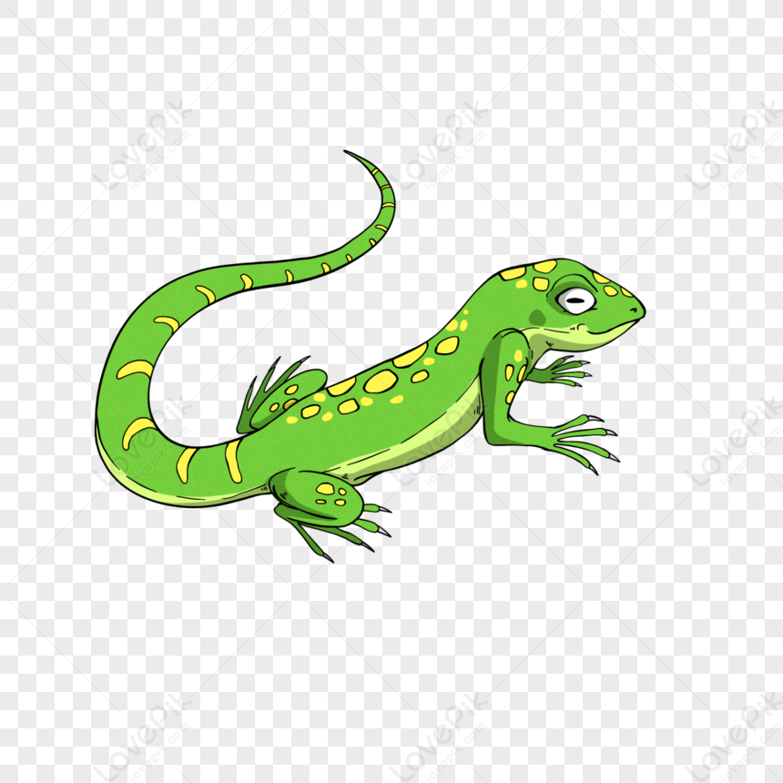 Cartoon Style Spotted Lizard Clipart,cartoon Animal,anime,animal Free ...