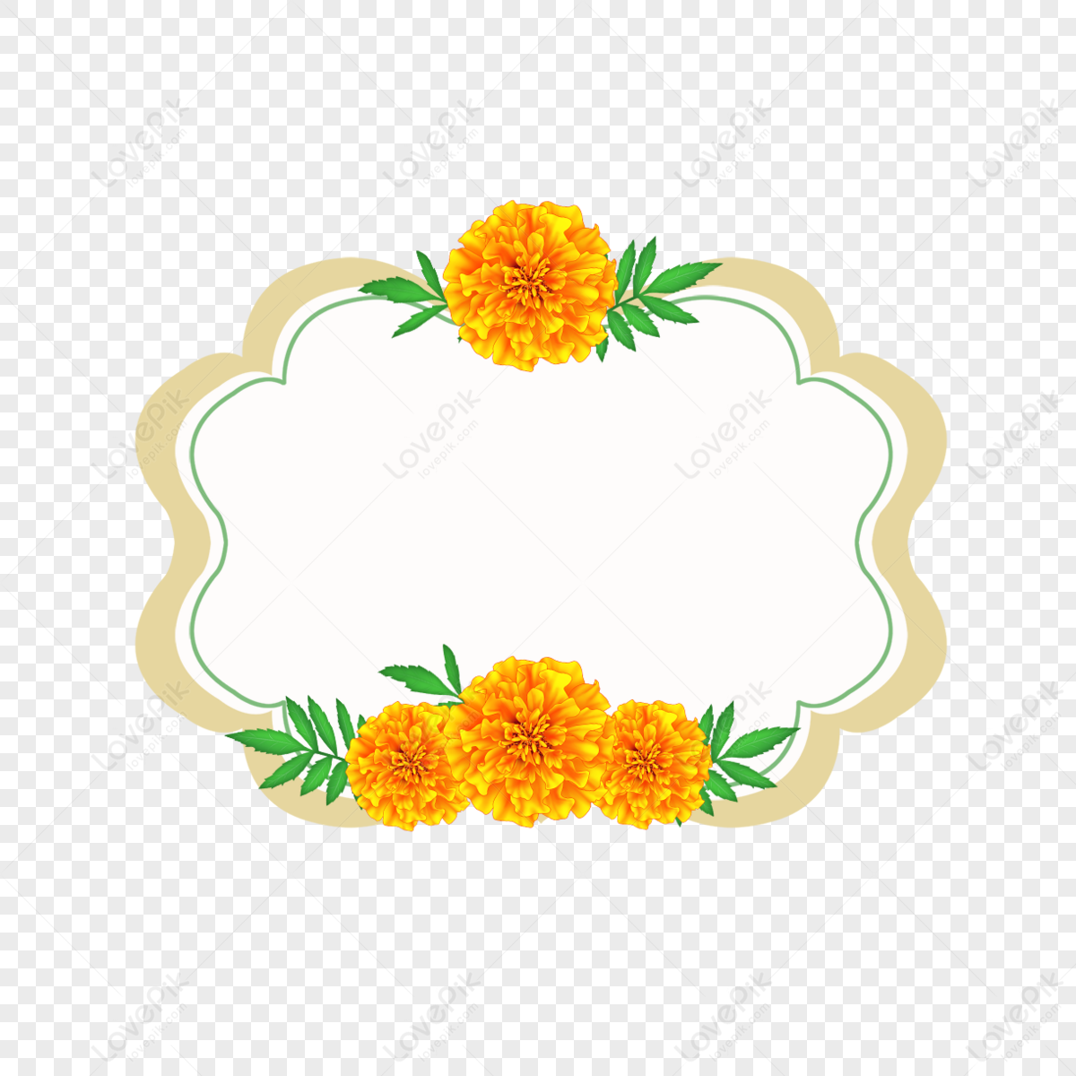 Yellow Marigold PNG Images With Transparent Background | Free Download ...