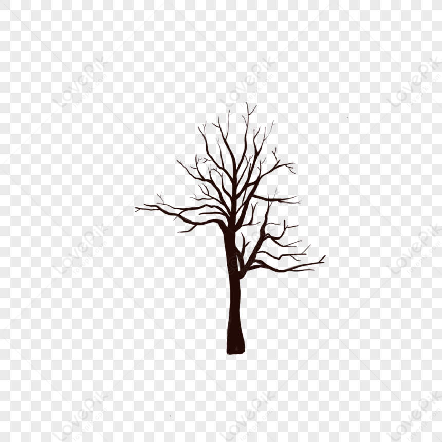 Ветви раздвоенные голые дерево картинки,художественный клипарт,форма сердца,тополь PNG