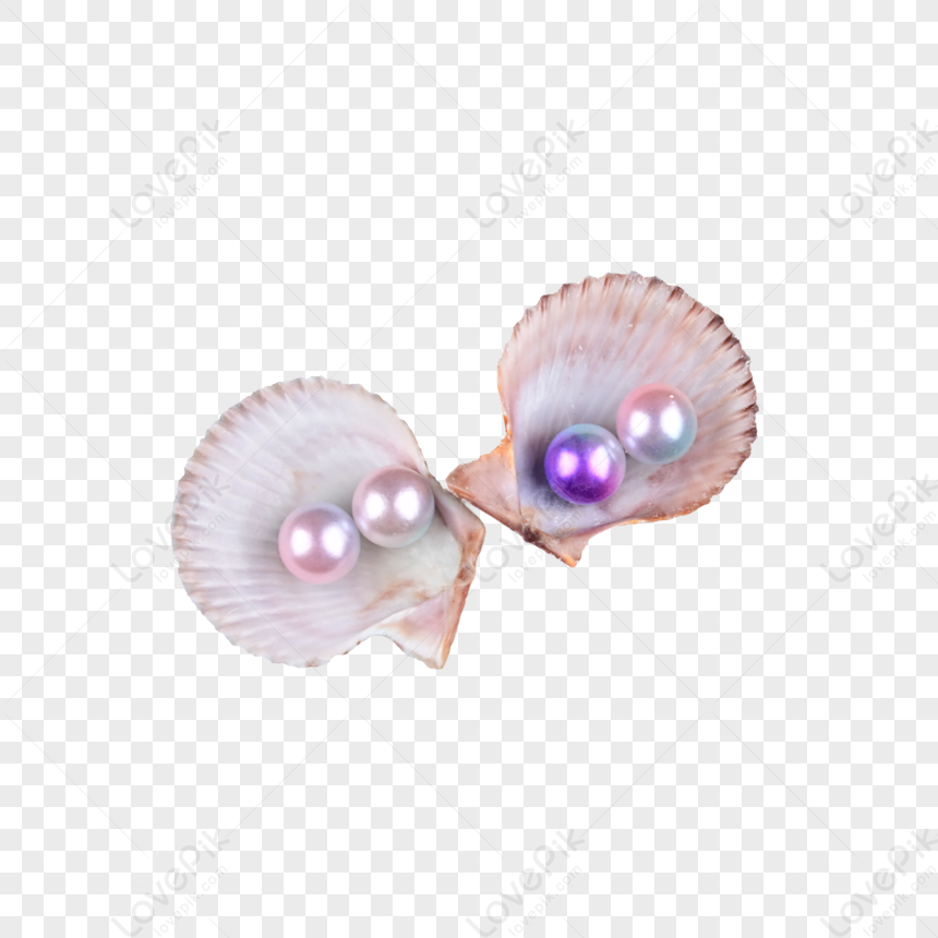 Conchiglie Decorative A Forma Di Ventaglio Perle Lussuose,colore