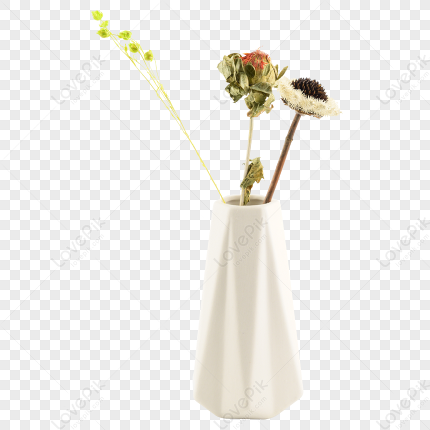 Fiori Secchi E Decorazioni Di Vasi In Ceramica,decorazione Del Vaso PNG  Immagine Gratis, Grafica download su Lovepik