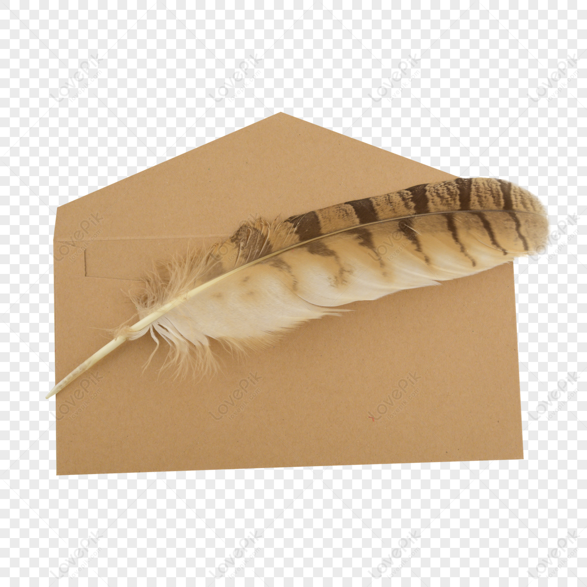 brown feather PNG transparent image download, size: 2671x8000px